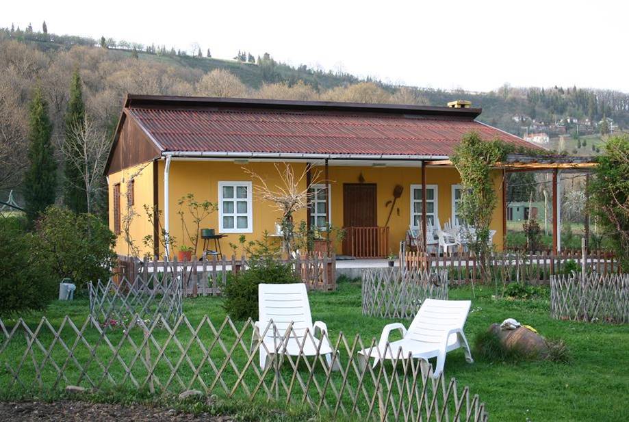 Portfolio Image